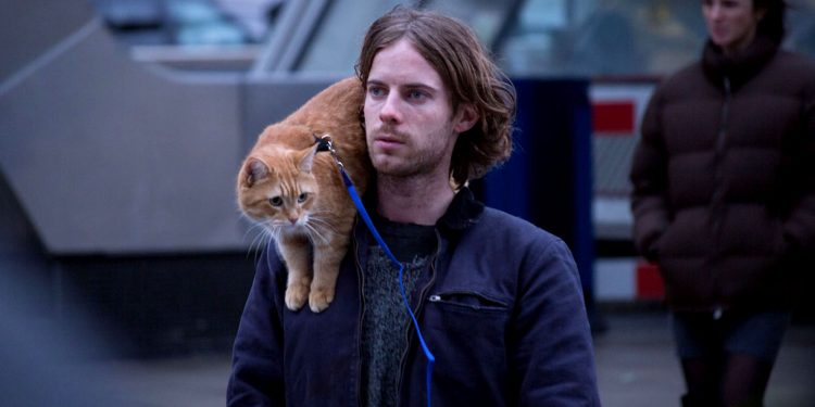 A Street Cat Named Bob (2016)