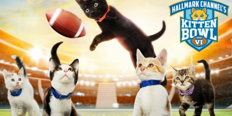 The Hallmark Kitten Bowl