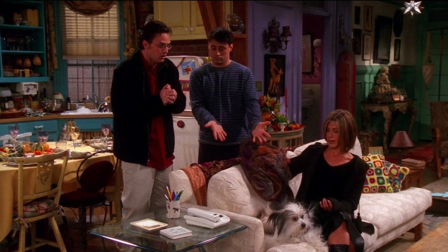 Friends thanksgiving episodes: The one where Chandler doesn't like dogs